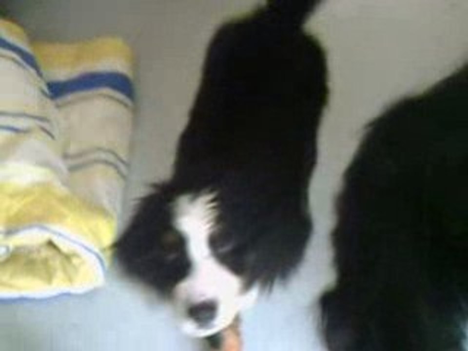 CLIP0080