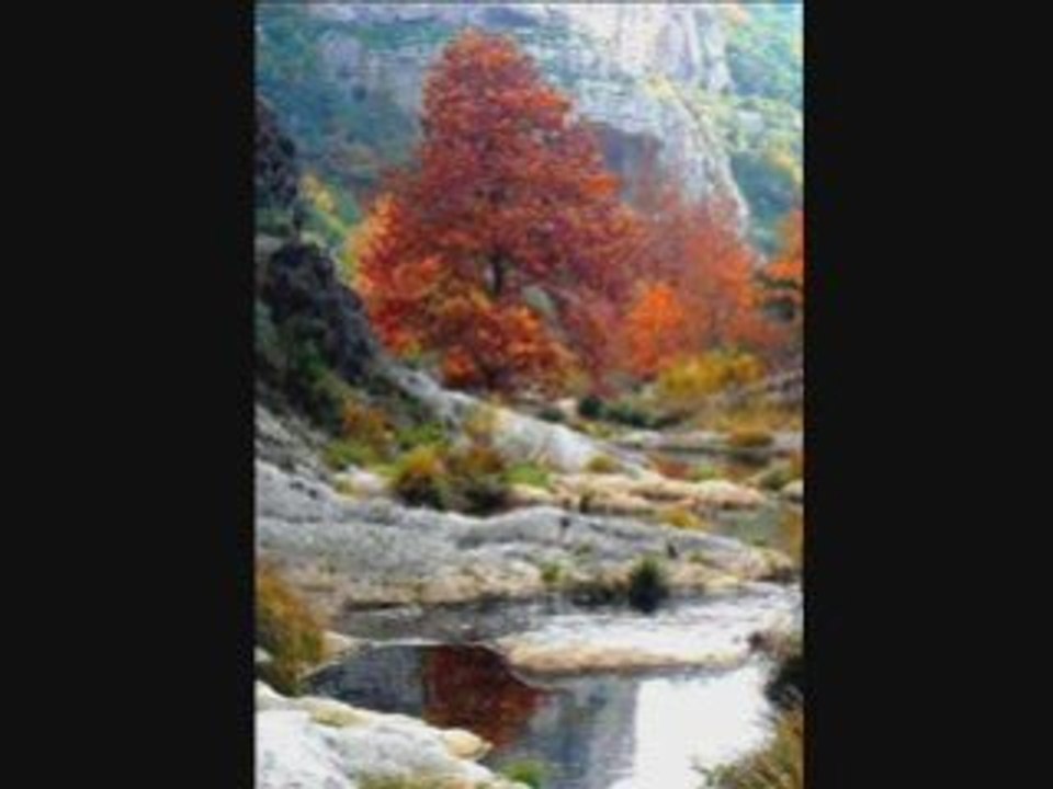 Cevizin yaprağı