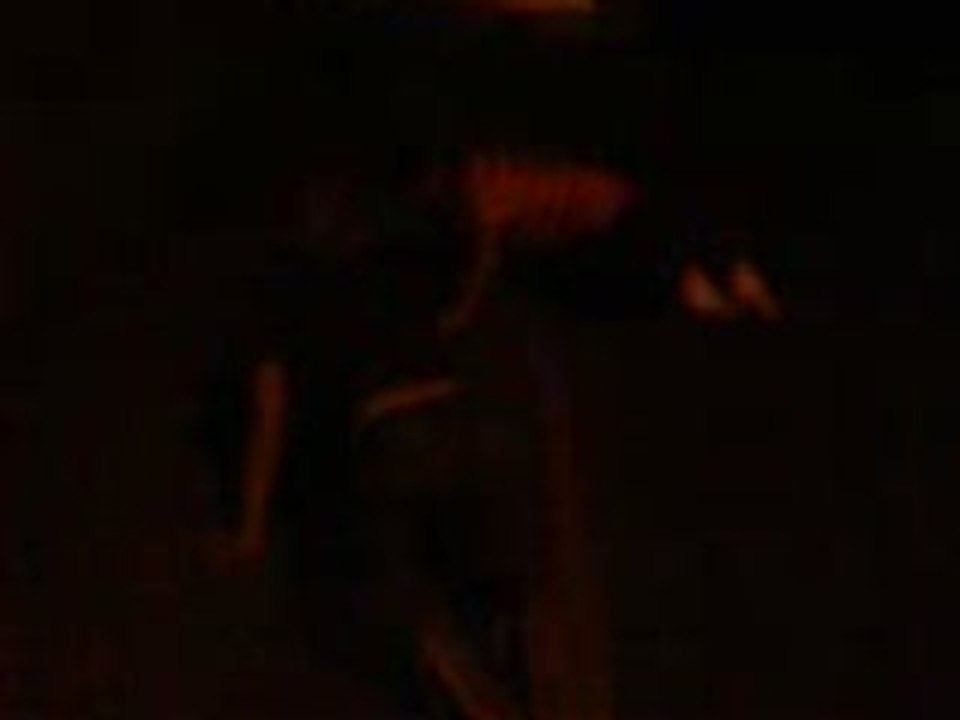 les chats de la nuit part 1