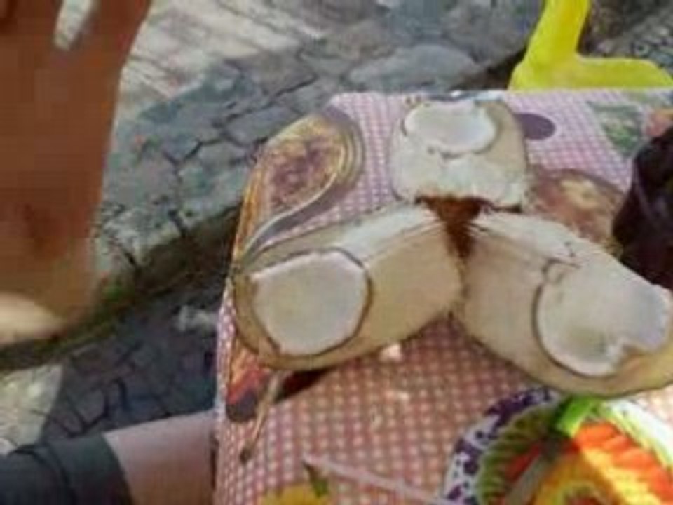 Gelado i Rio part II