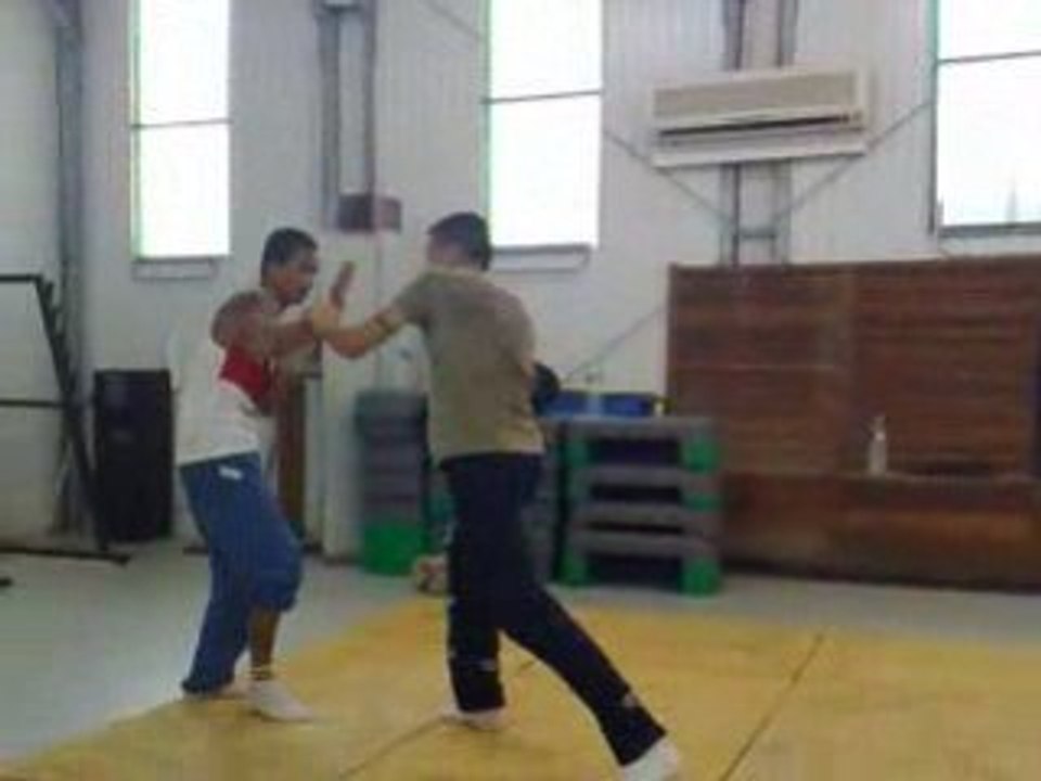 Saut