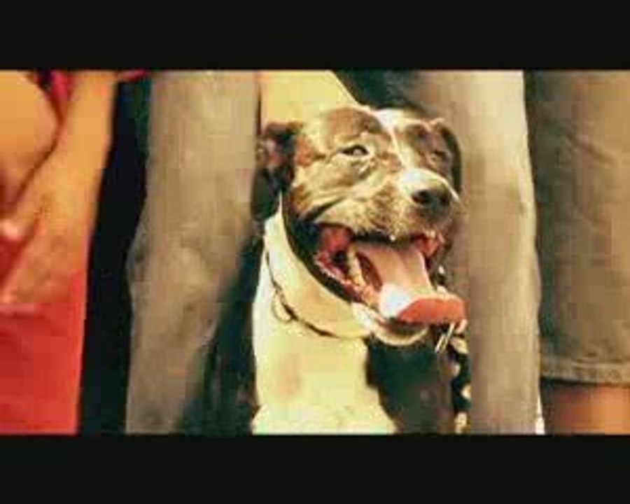 E.S.T. clip rap français "On arrive en force" by AP