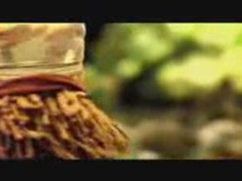 Dominik Coco  ZioN ZouK