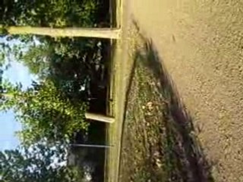 Poupinette & Gros Cheveux