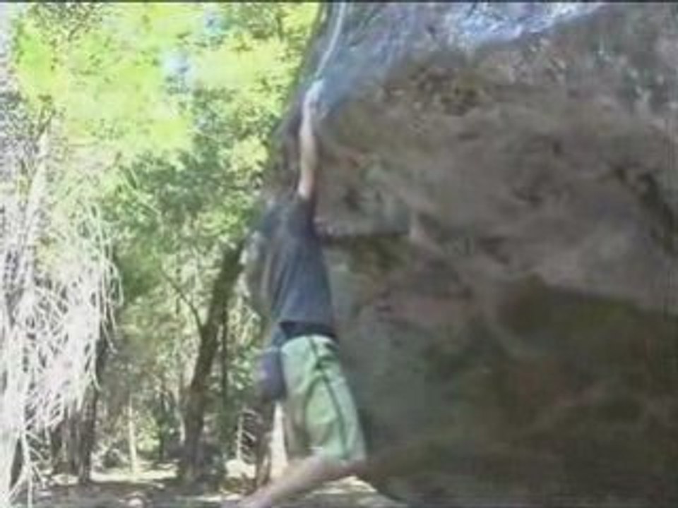 Action Adept Yosemite Valley Trailer