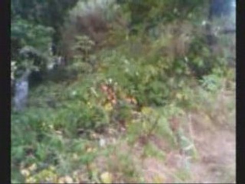 Enduro ktm 240 gs 1988