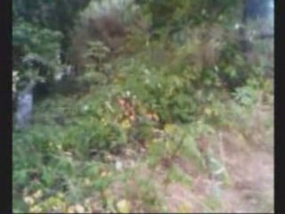 Enduro ktm 240 gs 1988