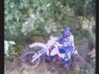 ktm 240 gs Dans le bois