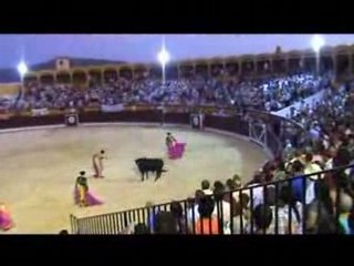 Toros en Berja Parte 6
