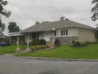 Hortensias + tondeuse