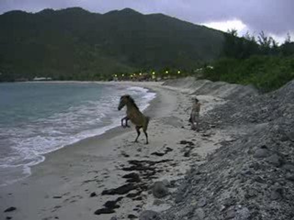 Toska a la mer : le premier film !