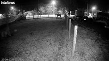 Velozes e furiosos
