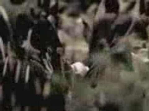 Mo3in Cherif - lebanese dabkeh