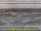 The Galapagos Islands cruise videos - Predators