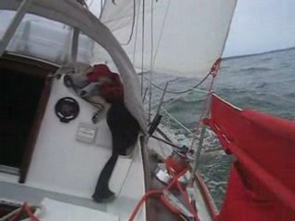 Vaca2008 062
