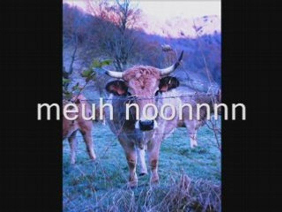 Oh la vache