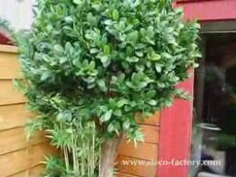 Buis artificiel double boule sur tronc sur Deco Factory