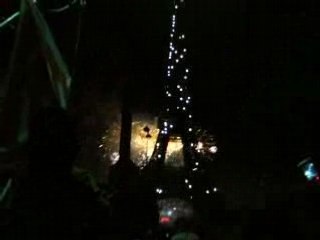 Feu d'artifice 2008 sur le champ de mars