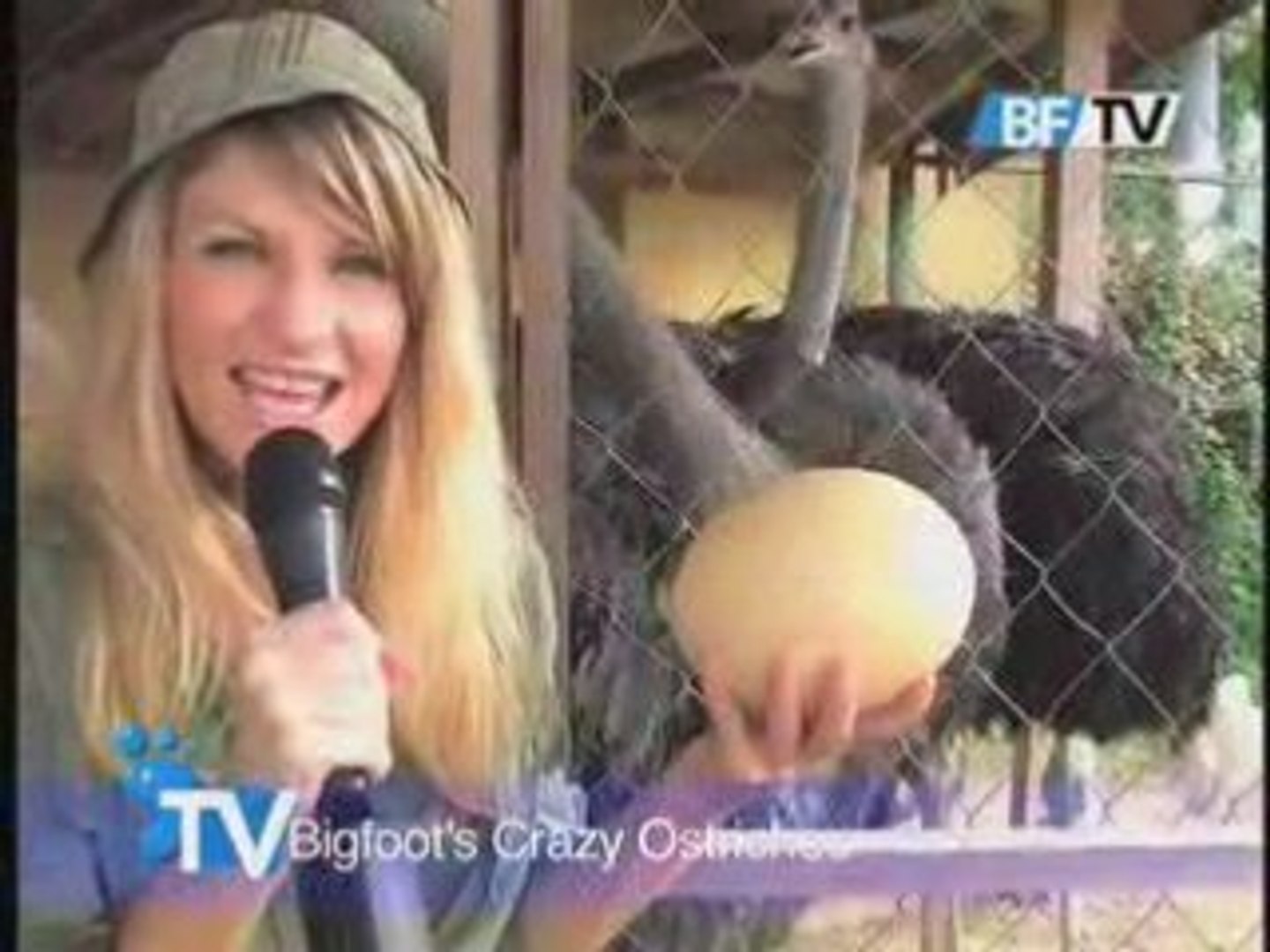 Bigfoot's Crazy Ostriches