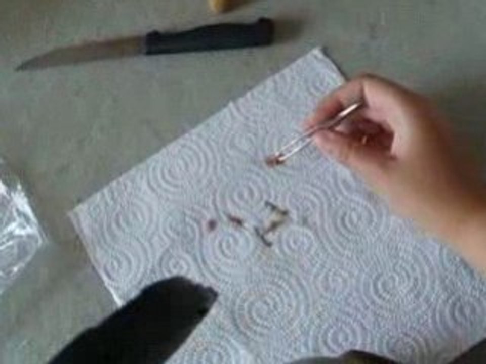 Nourrissage bébé hirondelle tombée du nid deuxième jour