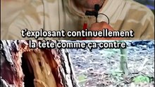 Il faut qu’on parle de cet oiseau !