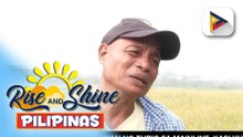 Epekto ng El Niño, ramdam na ng ilang magsasaka sa Davao City | Ulat ni Jaye Tayanes