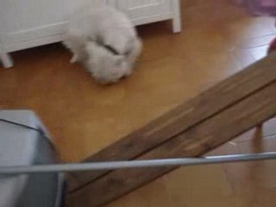 Eliott séance saut =) (1)