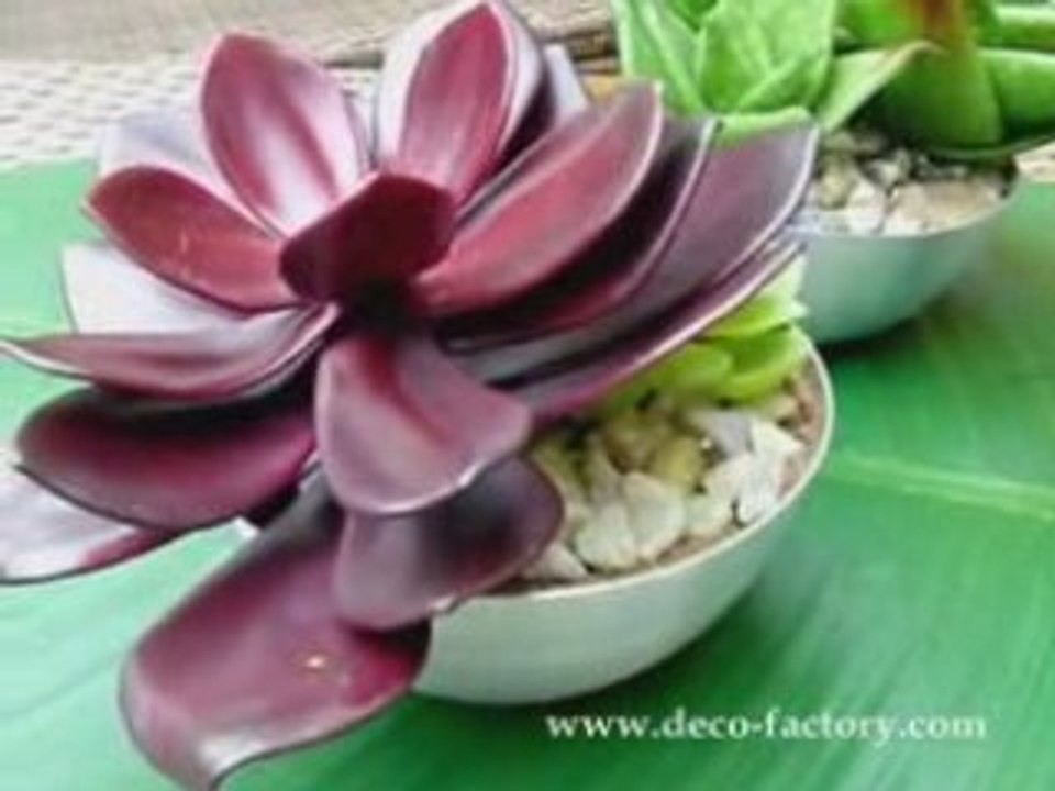 Mini jardin de cactus artificiels