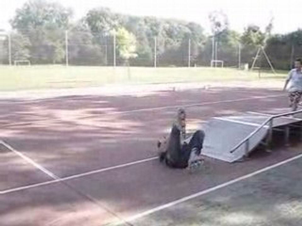 GAMELLE DU JOUR, cricri et ses rollers