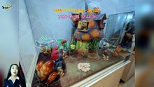 「TravelPZ」 Review Chocolate museum ticket in Barcelona