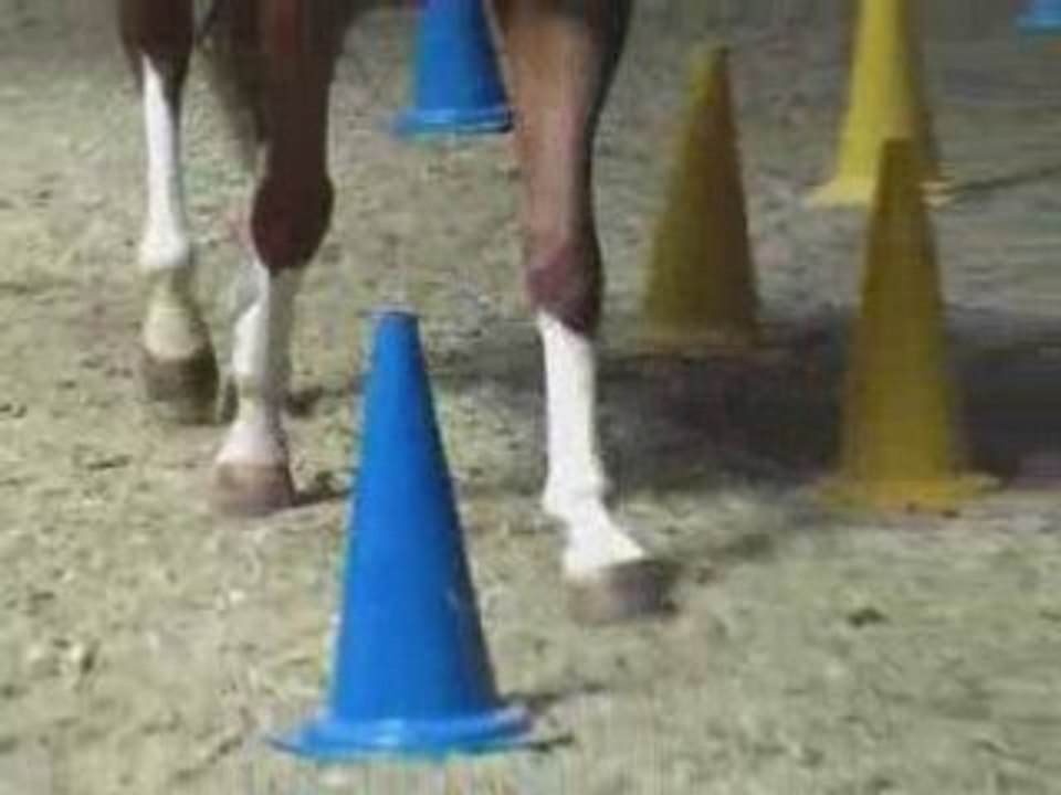 Dualaktivierung-clip01