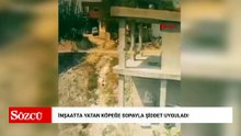 İnşaatta yatan köpeğe sopayla şiddet uyguladı; o anlar kamerada
