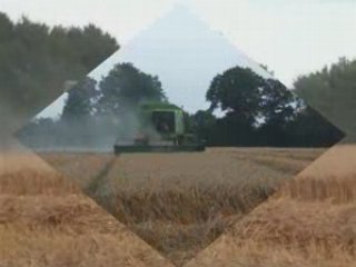 MoiSSon 2008 1er PaRTie