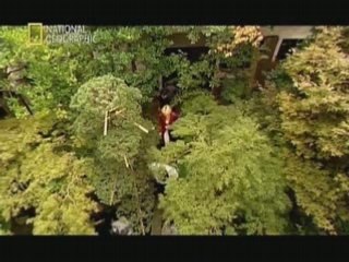 En Anglais Aikido National Geographic1.00