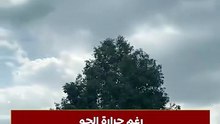رغم حرارة الجو.. غيوم وسحب تغطي سماء كفر الشيخ