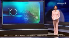 죽은 생선 투척…“밥 주지 마세요!”