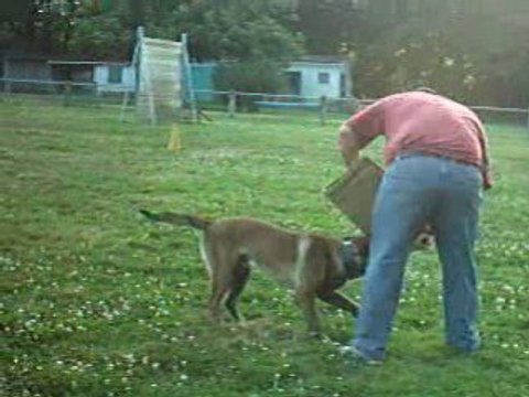 entrainement avec la jambière à 13 mois... pour le fun
