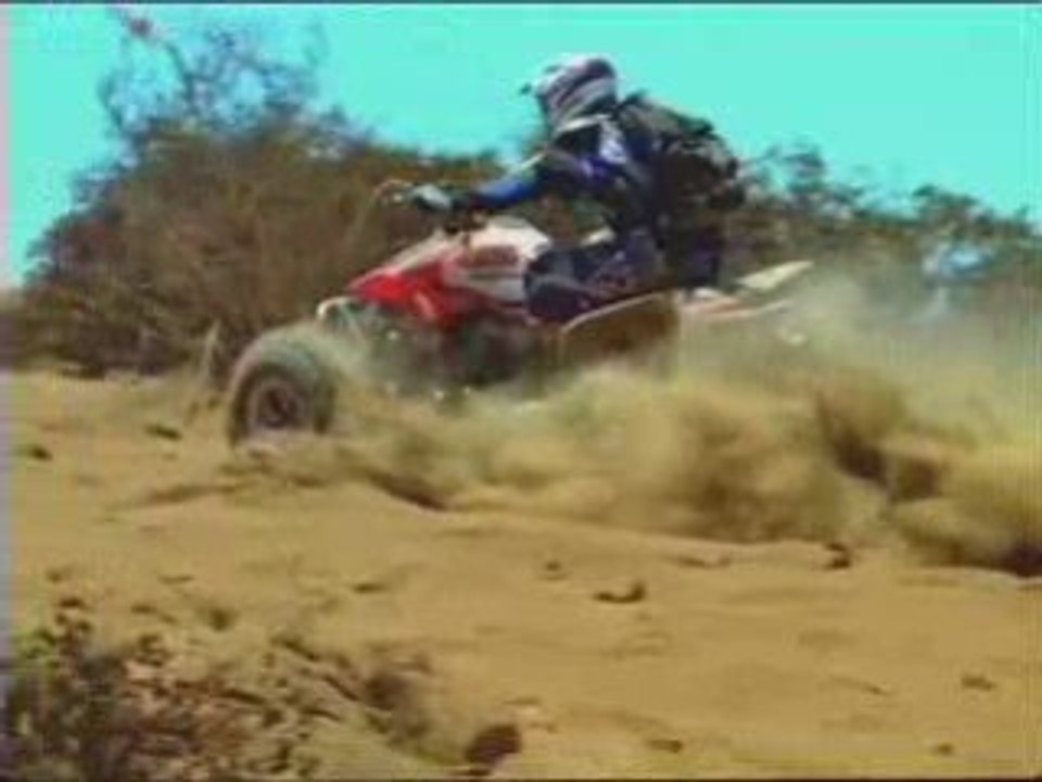 Huevos 7 offroad trailer