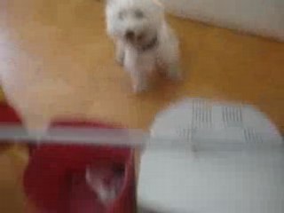 Eliott séance de saut =) ( 6)