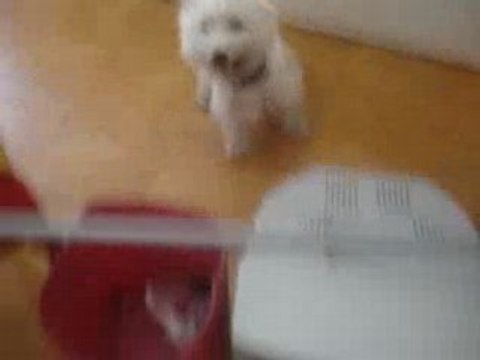 Eliott séance de saut =) ( 6)