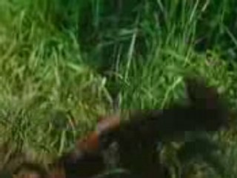 Tropicthunder_Trailer_#01