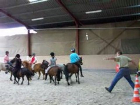 horse ball poneys
