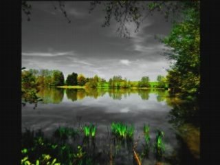 Lovebirds - The Beat Goes Boom