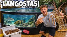 ¡Compré langostas para mis estanques de agua salada en el patio!! (alimentación)
