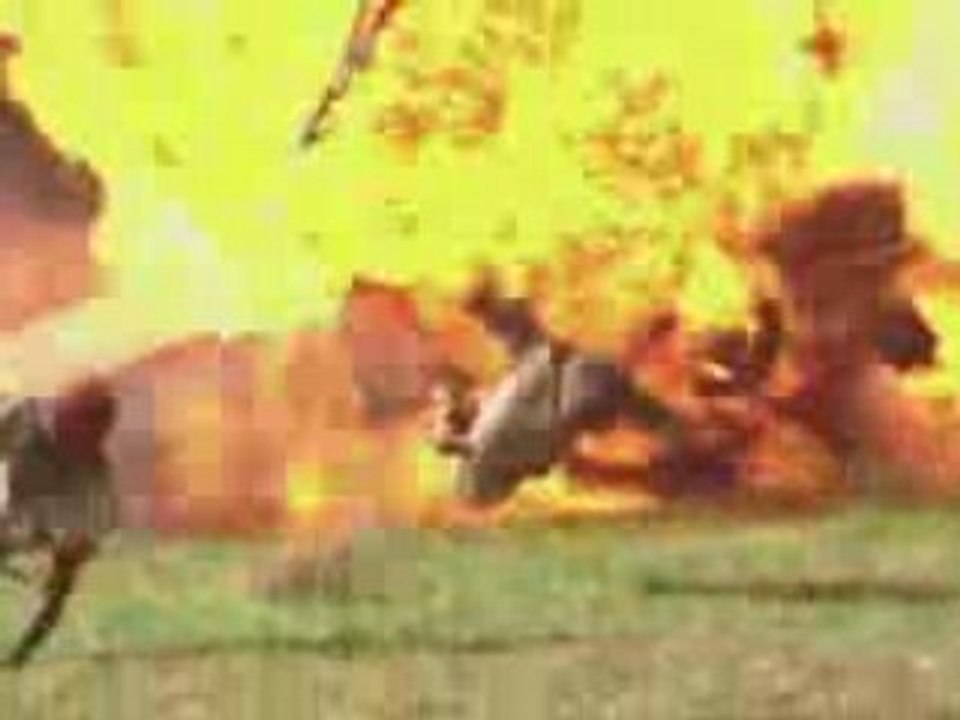 Fox Fall Promo