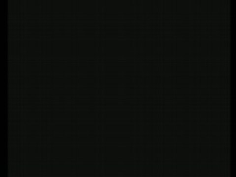 Foire aux vins 2008: l'inauguration.