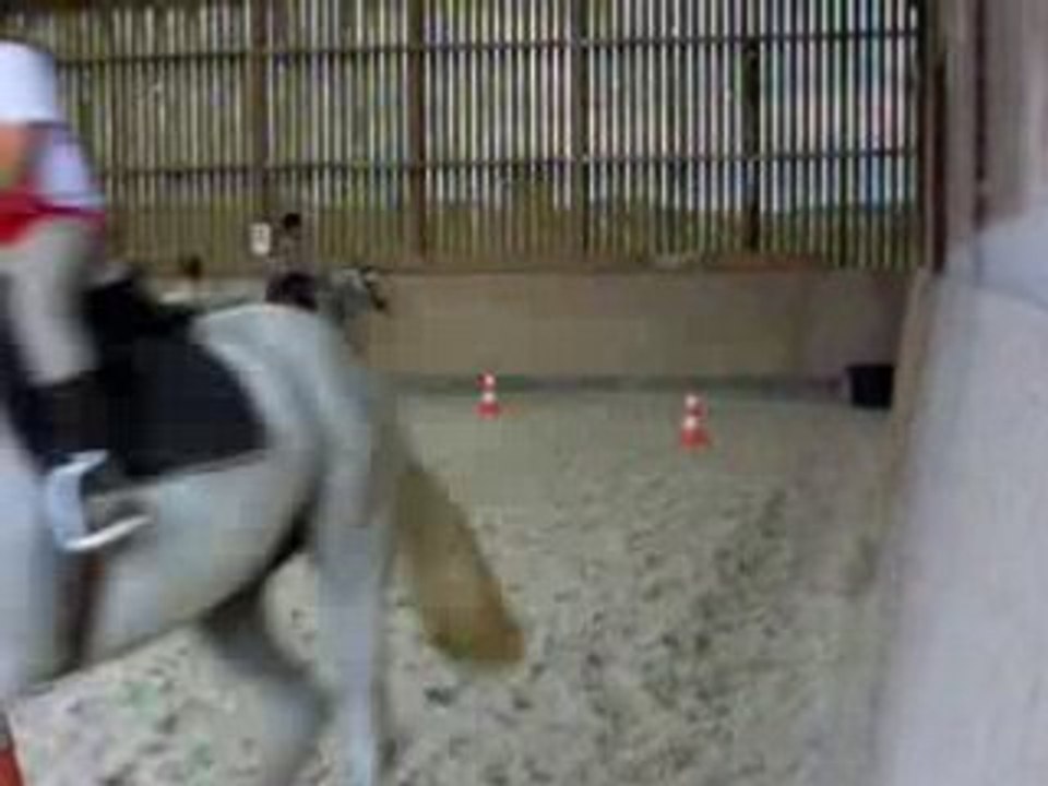 galop en manège