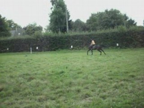 Super Séance de Dress avec Plouf !