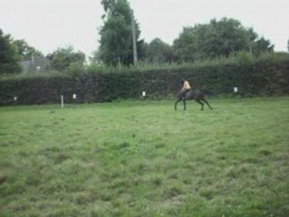 Super Séance de Dress avec Plouf !