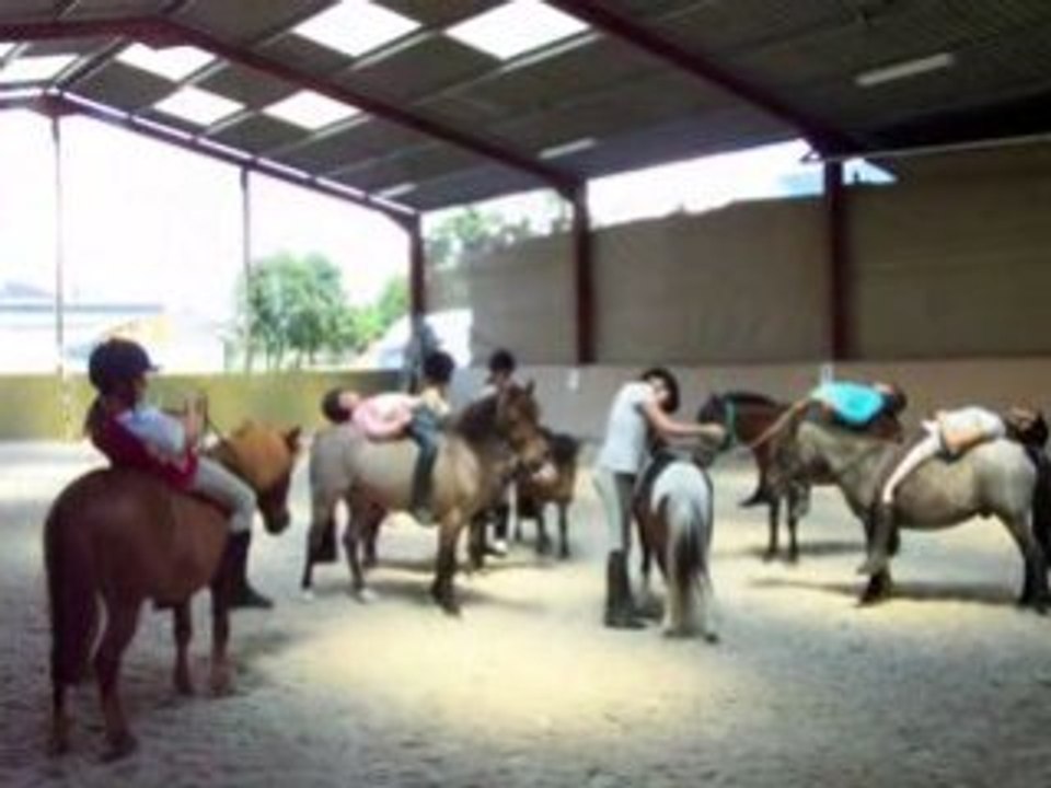 horse ball poneys